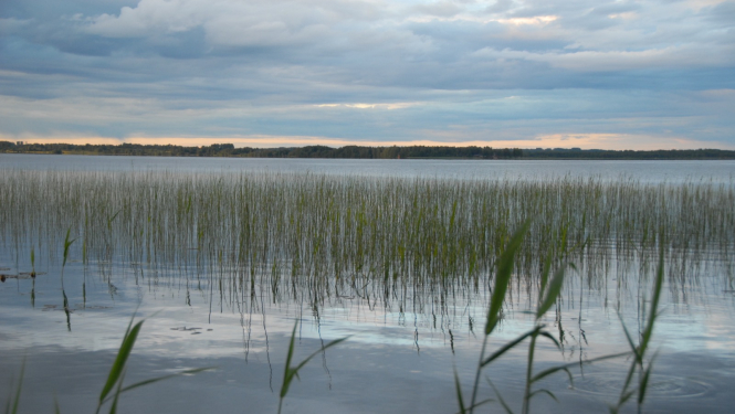 Ezera skats