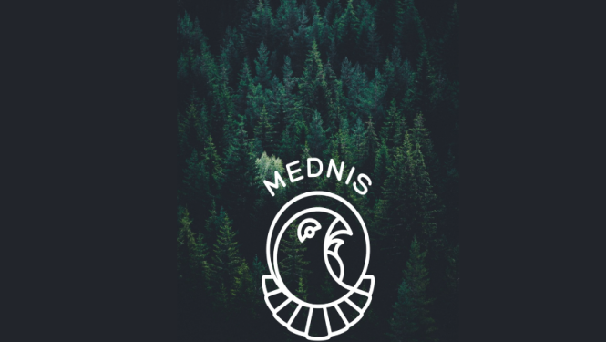Lietotne Mednis