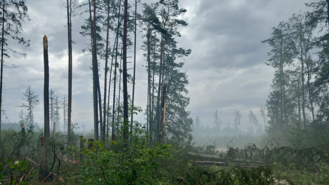 Vētra 7.08.2023