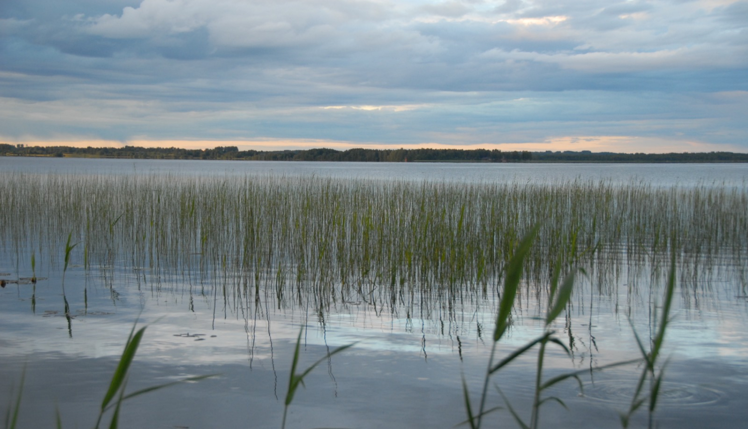 Ezera skats