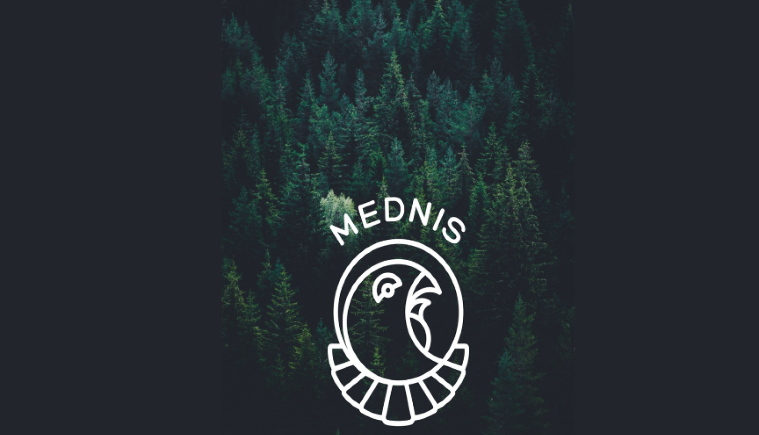 Lietotne Mednis