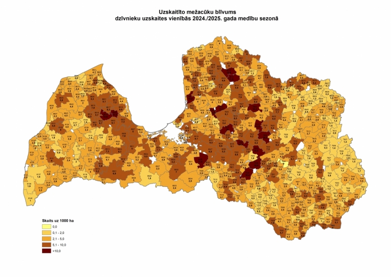 Nomedītās mežacūkas