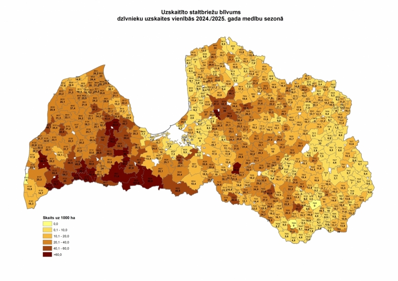Nomedītie staltbrieži