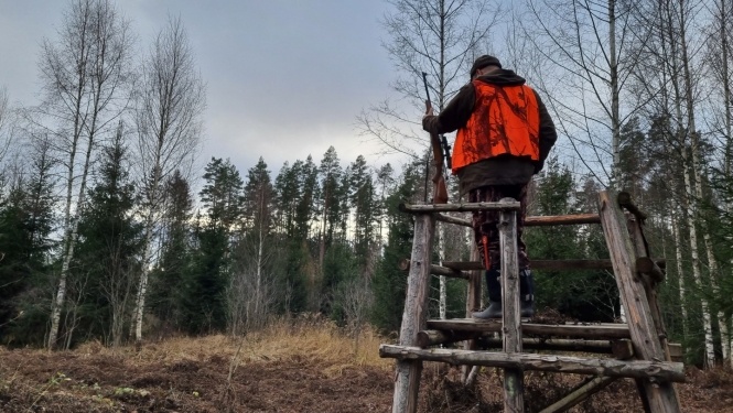 Mednieks pagriezies ar muguru stāv medību tornī