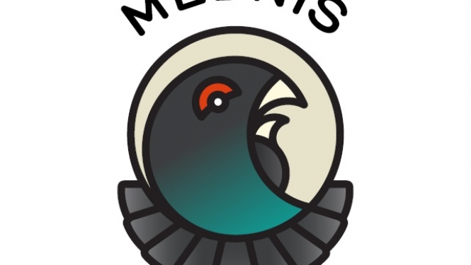 mednis logo