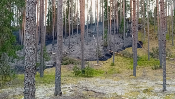 Meža ugunsgrēks Zvārtavas pagastā 05.05.2024.