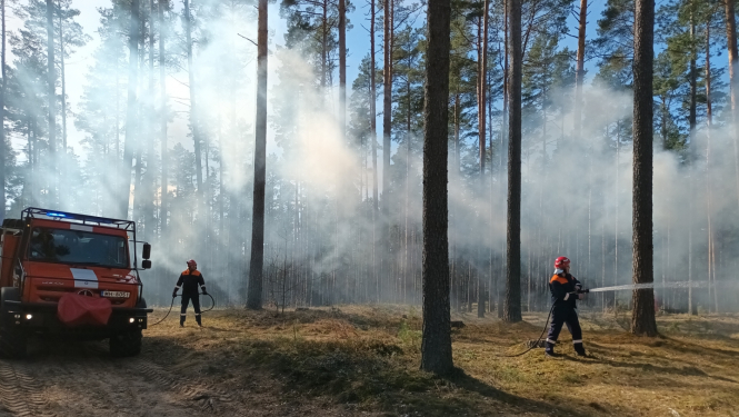 Meža ugunsnedrošais laikposms sākas 3. maijā