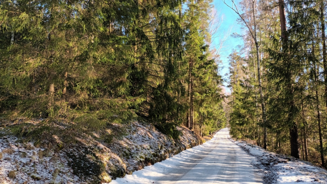 Avots: Zemkopības ministrija - Latvijai kopā ar vairumu ES dalībvalstu ir izdevies pārliecināt EK par Atmežošanas regulas ieviešanas atlikšanu par vienu gadu