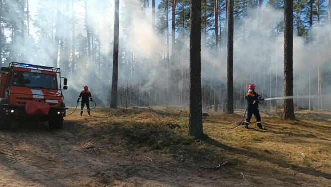 Meža ugunsgrēka dzēšanas darbi