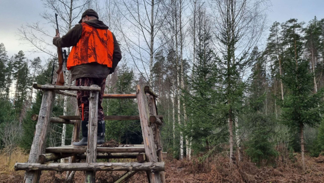 Mednieks medību tornī