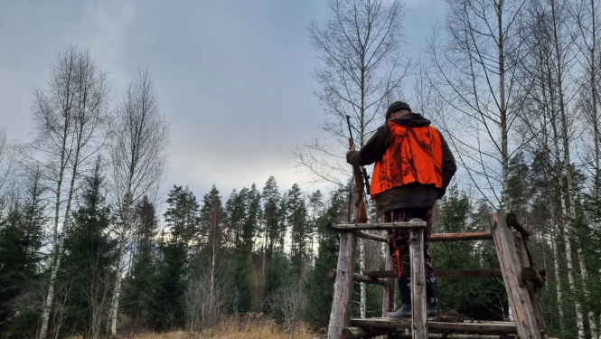 Mednieks pagriezies ar muguru stāv medību tornī