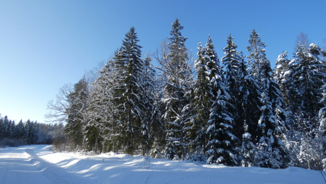Zemkopības ministrija zemes īpašniekiem vienkāršo zemes lietošanas veida maiņu un samazina administratīvos izdevumus_Zemkopibas_ministrijas_attels