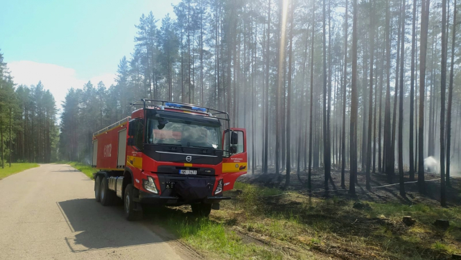 Augšdaugavas novadā ļaunprātīgi dedzina mežu