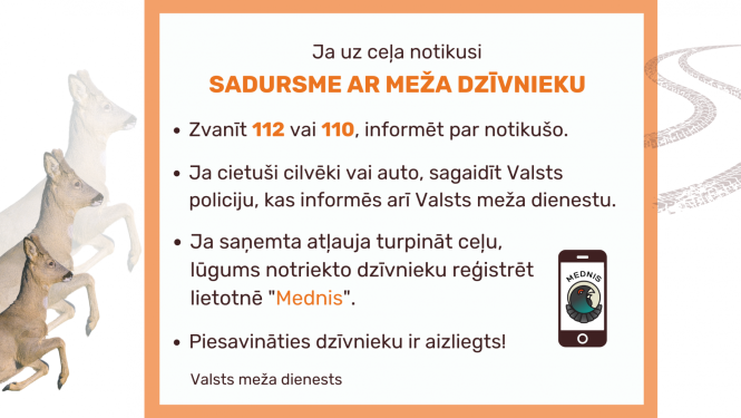 Attēls ar tekstu, kur aprakstīts kā rīkoties situācijā ja uz ceļa notikusi sadursme ar meža dzīvnieku
