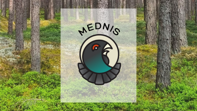 Tiešsaistes seminārs par mobilo lietotni “Mednis”