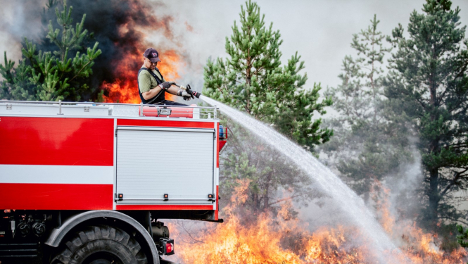 Meža dzēšana no auto
