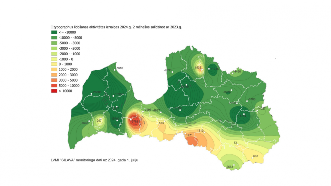 Egļu astoņzobu mizgrauža aktivitāte ir mazinājusies 