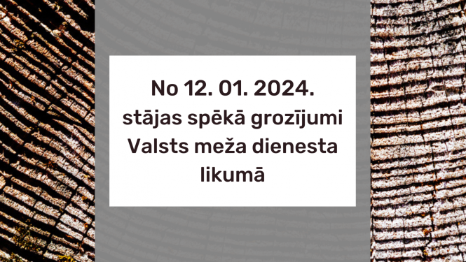 Stājas spēkā grozījumi Valsts meža dienesta likumā