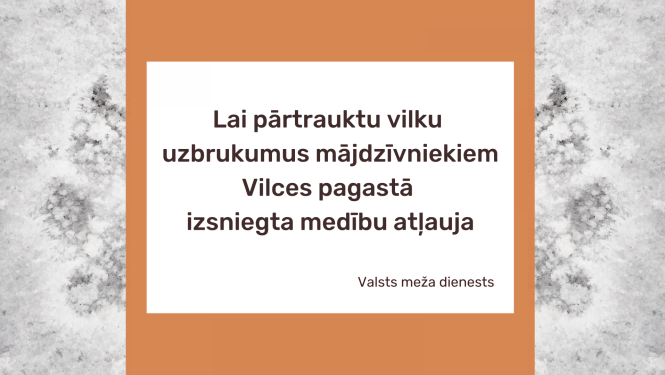 Izsniegta medību atļauja vilka nomedīšanai Vilces pagastā
