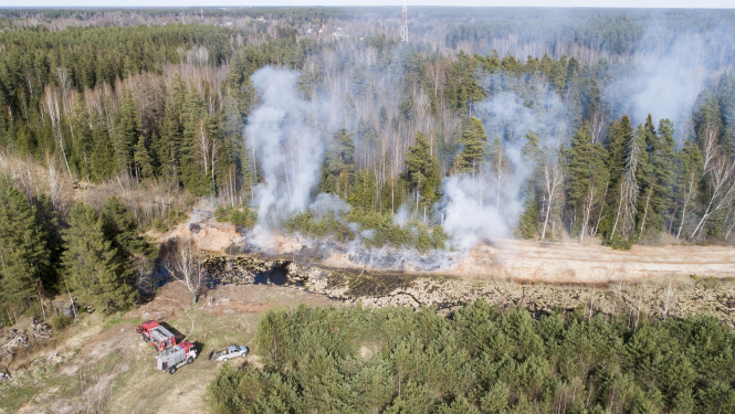 meža ugunsapsardzība