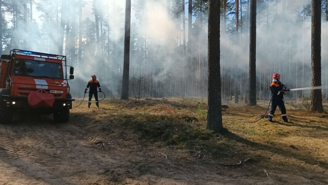 Divi VMD dzēsēji dzēš meža ugunsgrēku