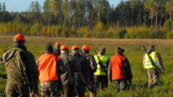 Mednieki pļavā, kuri dodas dzinējmedībās