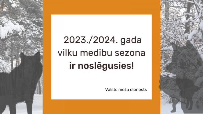 Noslēgusies 2023./2024. gada vilku medību sezona