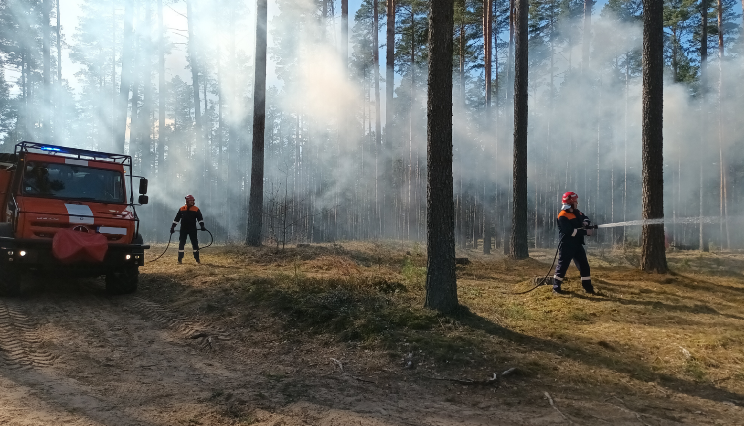 Meža ugunsgrēka dzēšanas darbi