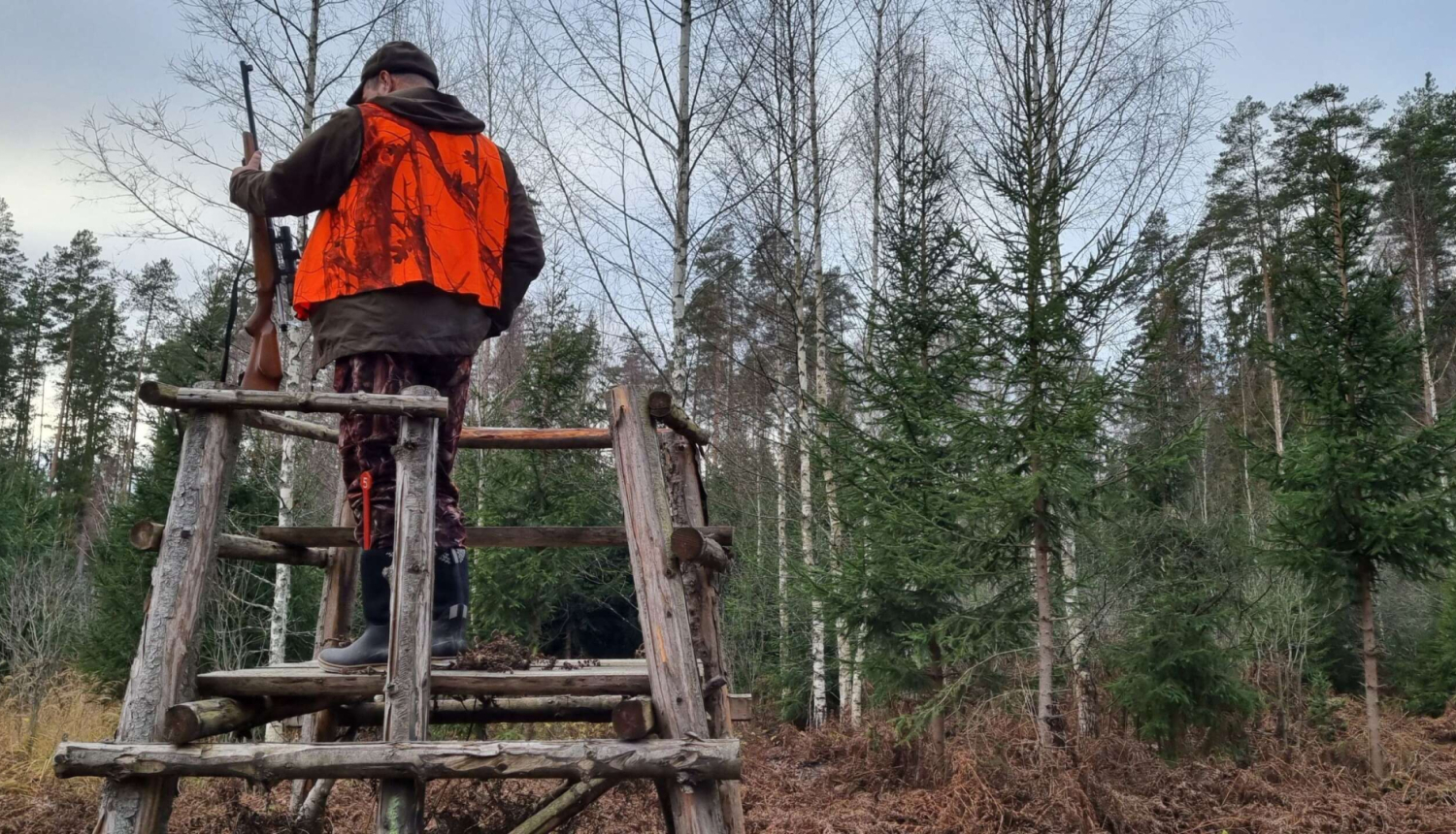 Mednieks medību tornī