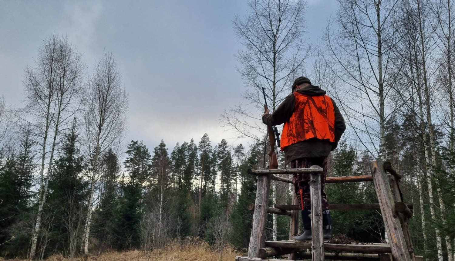 Mednieks pagriezies ar muguru stāv medību tornī