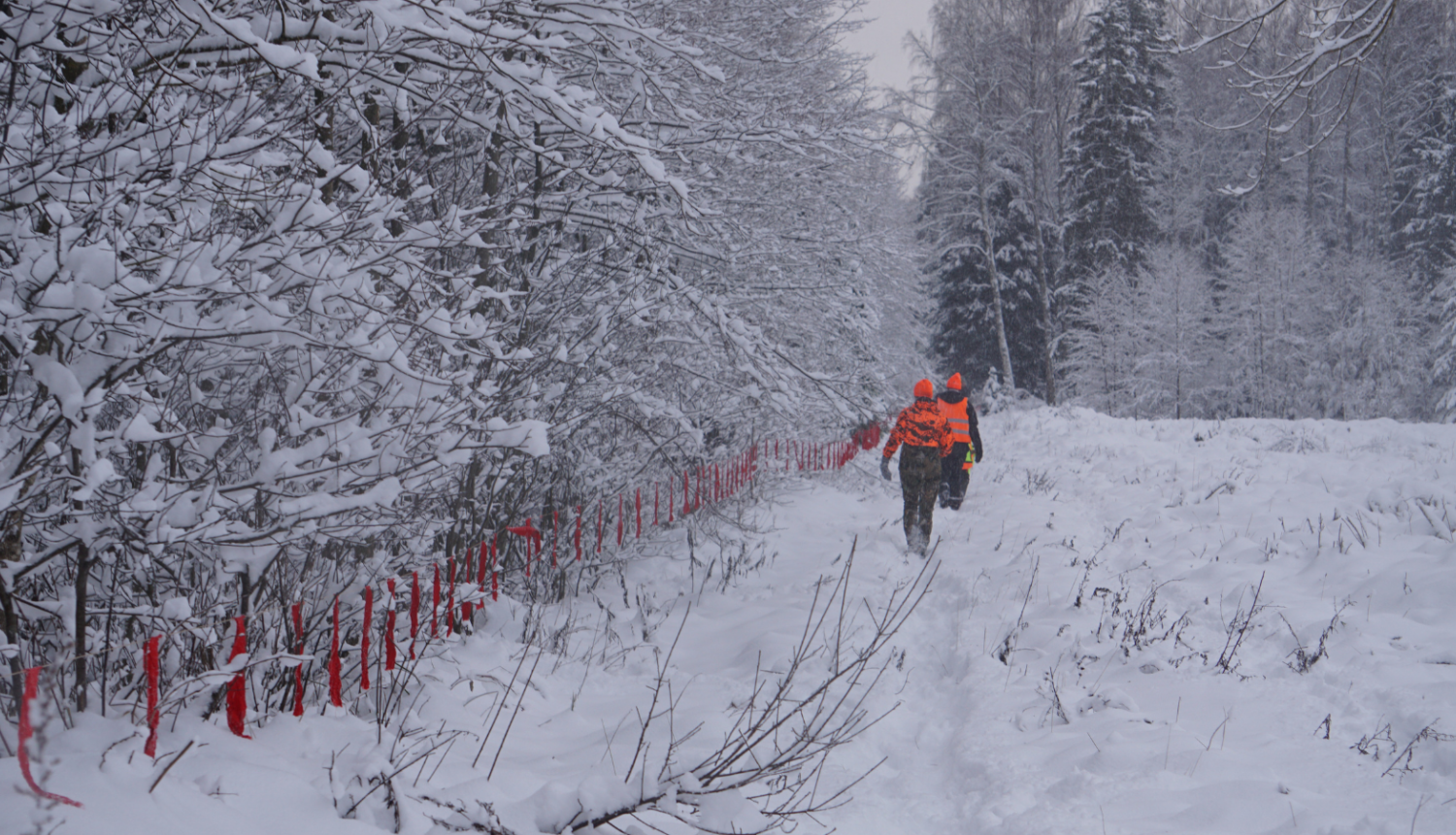 Mednieki sniegotā mežā