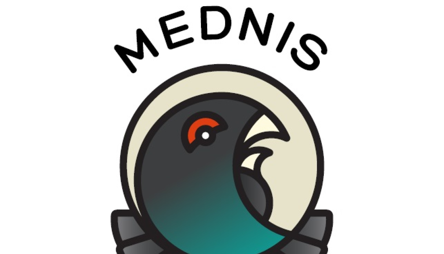 mednis logo