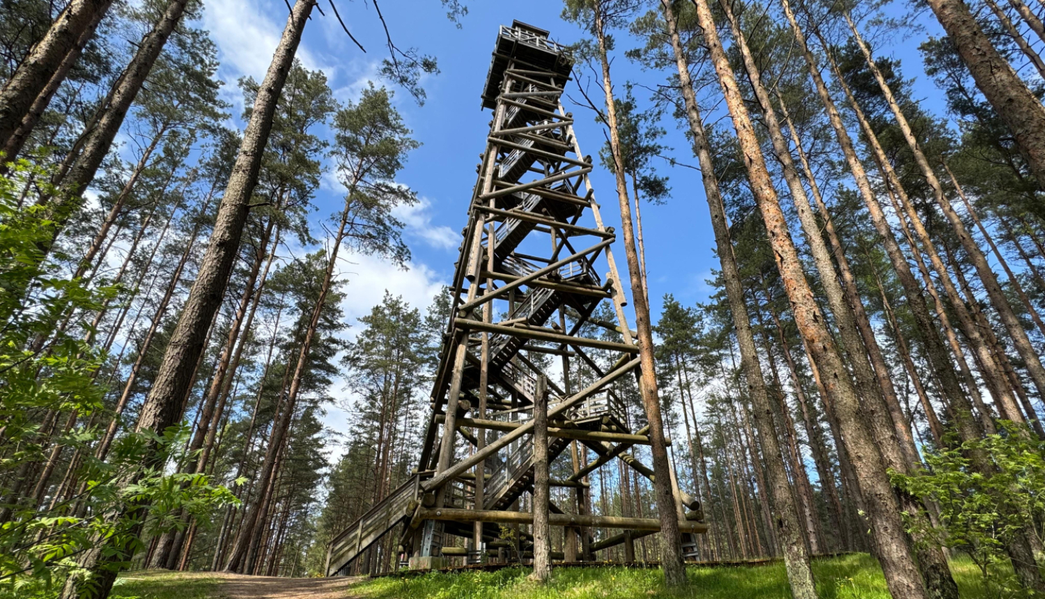 Bumbu kalna skatu tornis