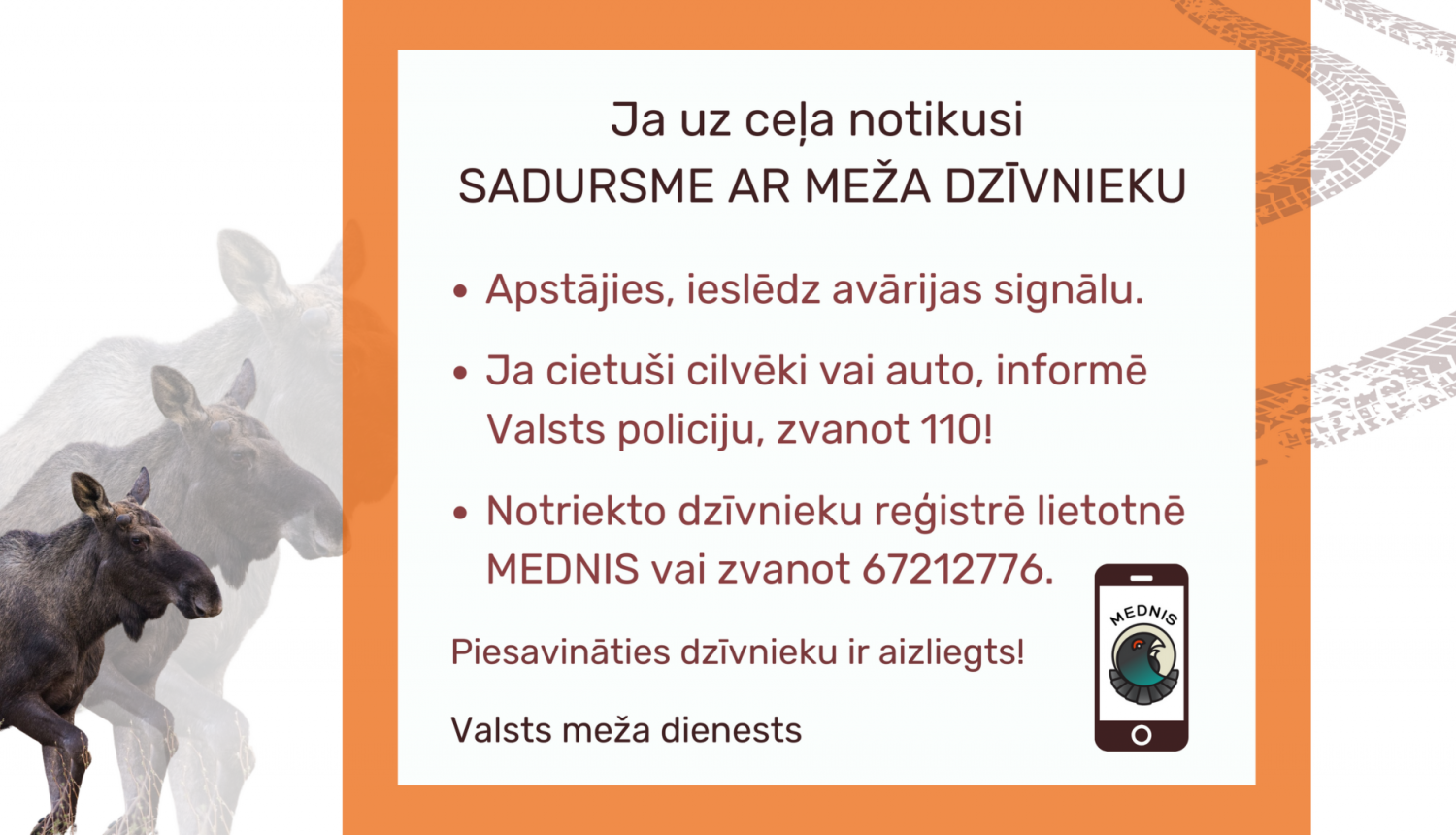 Ja uz ceļa notikusi sadursme ar meža dzīvnieku 