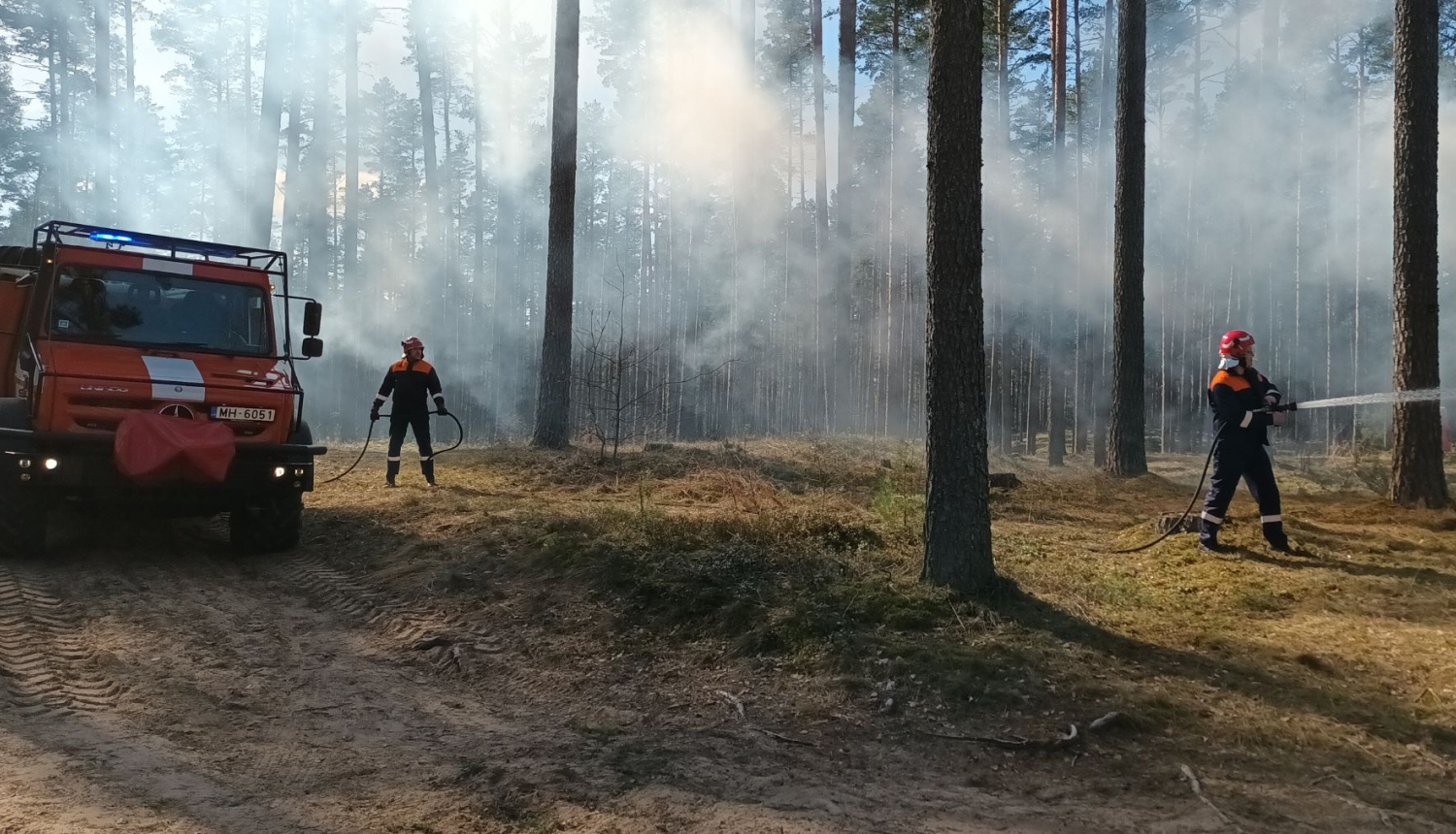 Divi VMD dzēsēji dzēš meža ugunsgrēku