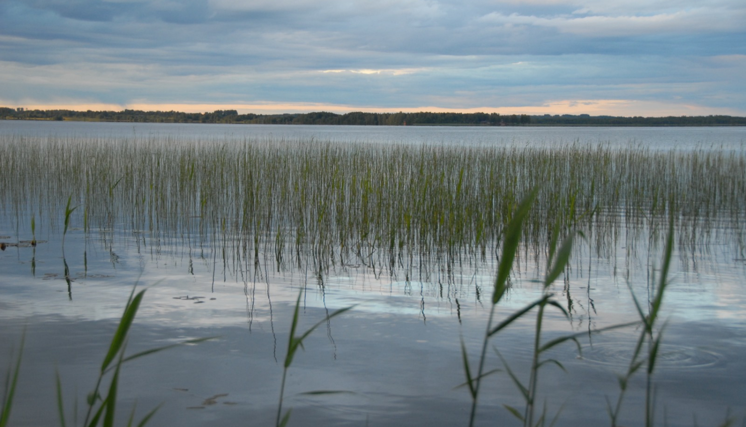 Ezera skats