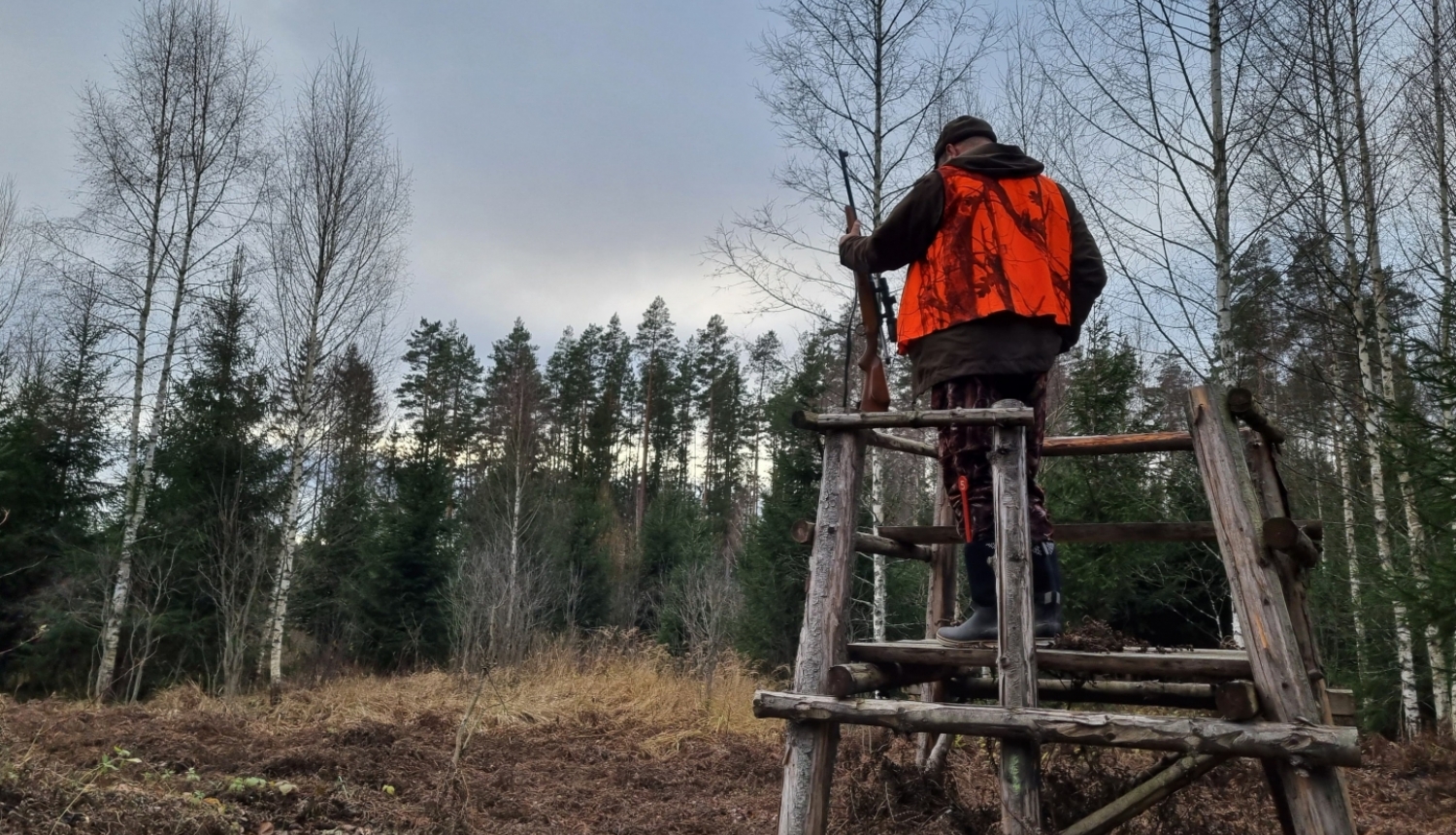 Mednieks pagriezies ar muguru stāv medību tornī