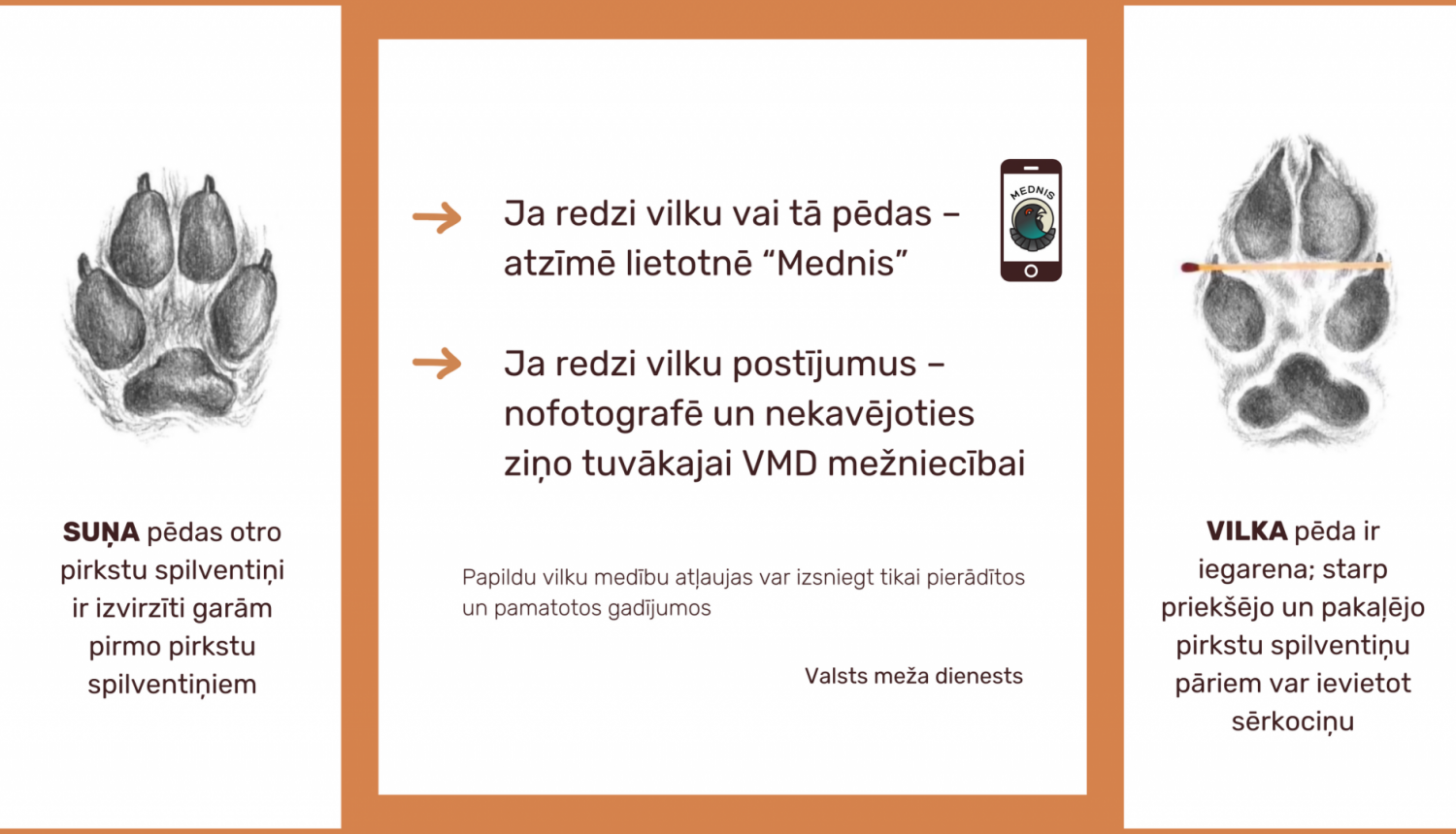 Papildu vilku medību atļaujas var izsniegt pierādītos un pamatotos gadījumos