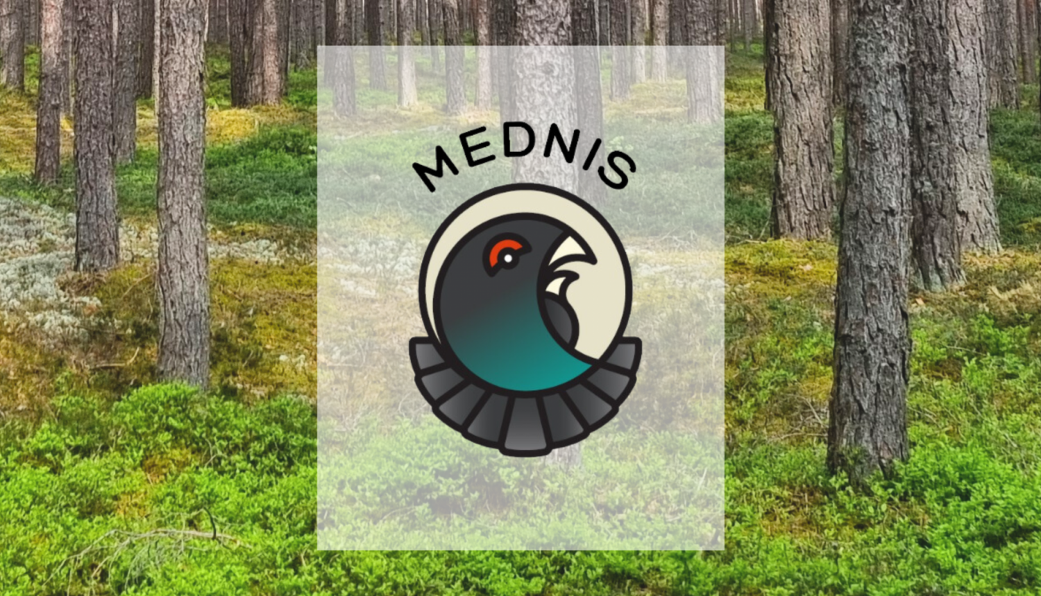 Tiešsaistes seminārs par mobilo lietotni “Mednis”