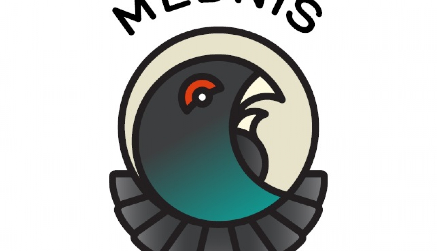 mednis logo