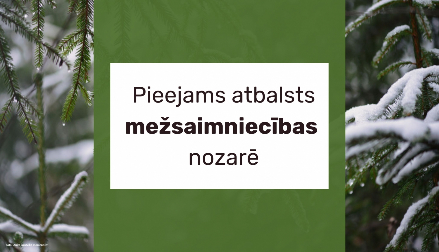 Pieejams atbalsts mežsaimniecības nozarē