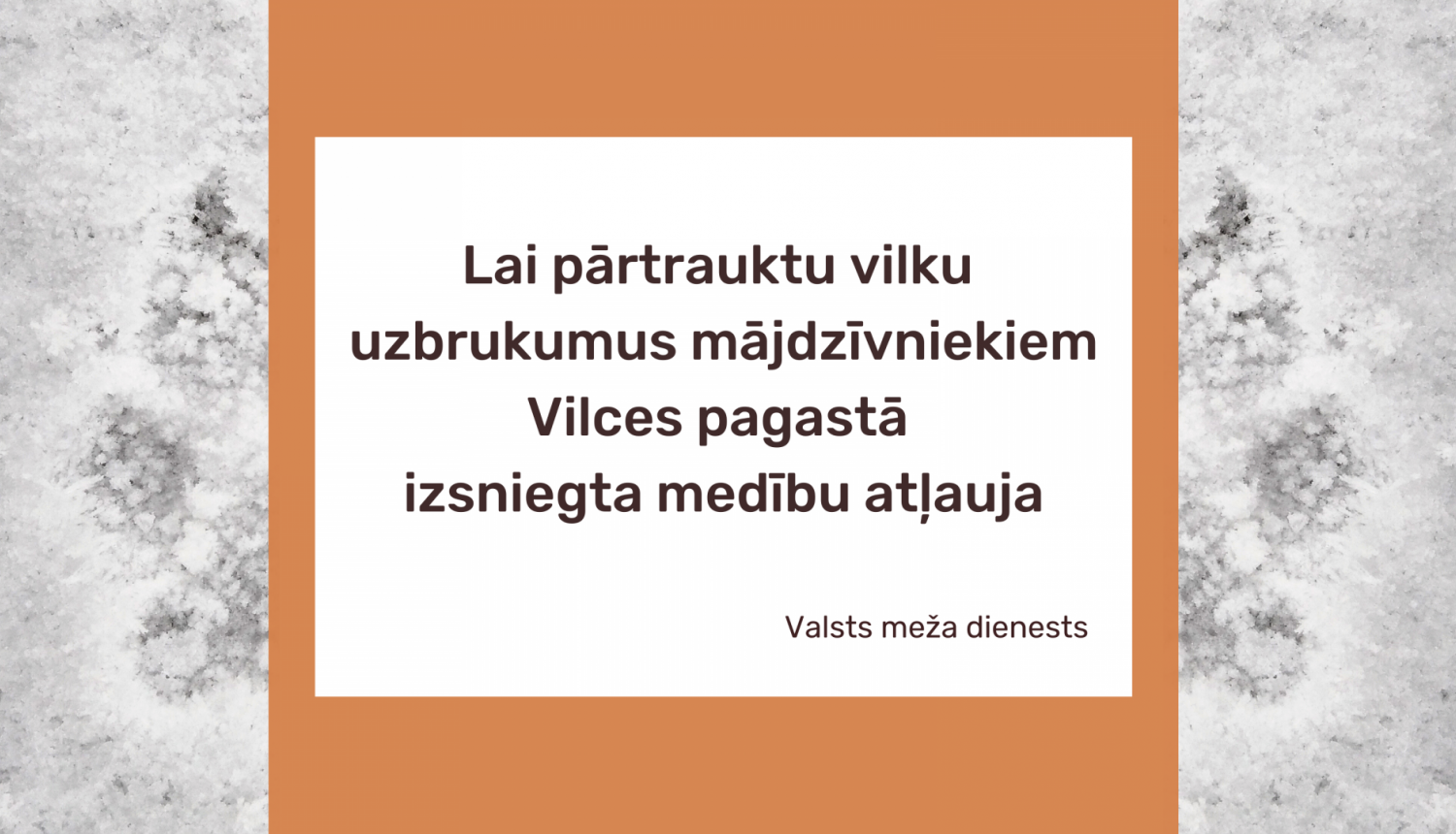 Izsniegta medību atļauja vilka nomedīšanai Vilces pagastā