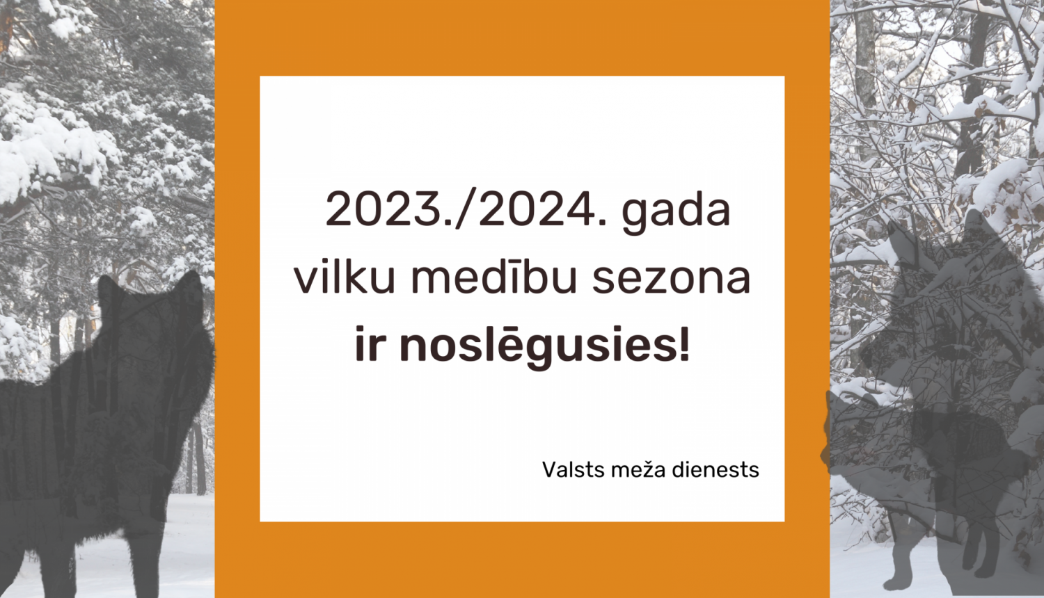 Noslēgusies 2023./2024. gada vilku medību sezona